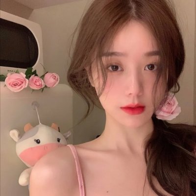 乐高DC蝙蝠侠：家族事务